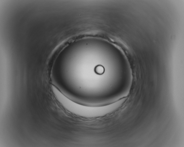 X0000113931256200910021235