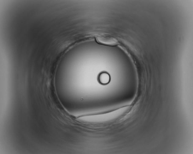 X0000113931257200910021235