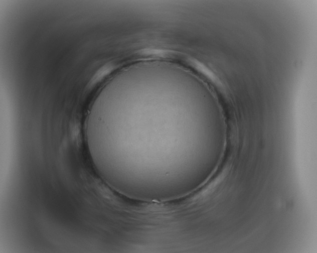 X0000113931259200910021235