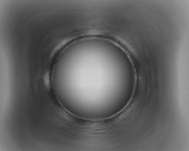 X0000113931262200910021235