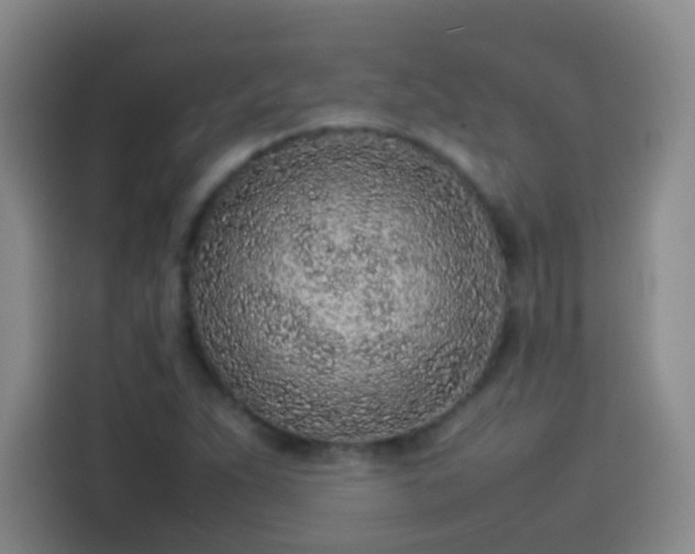 X0000113931263200910021235