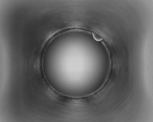 X0000113931264200910021235