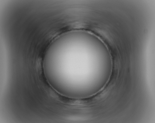 X0000113931265200910021235