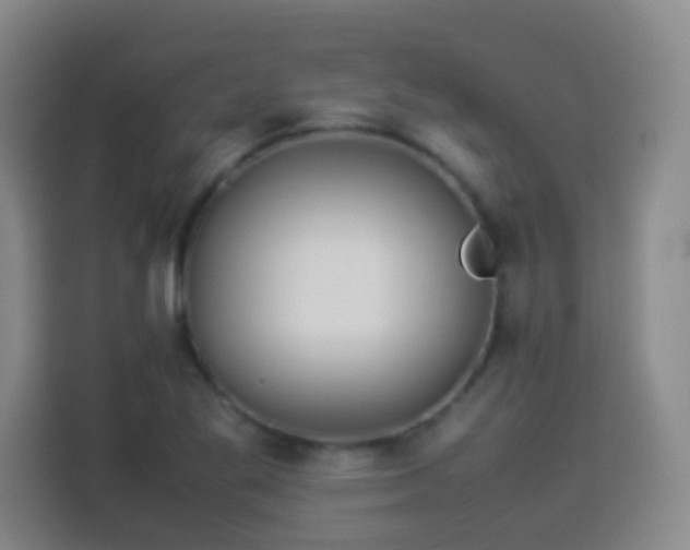 X0000113931269200910021235
