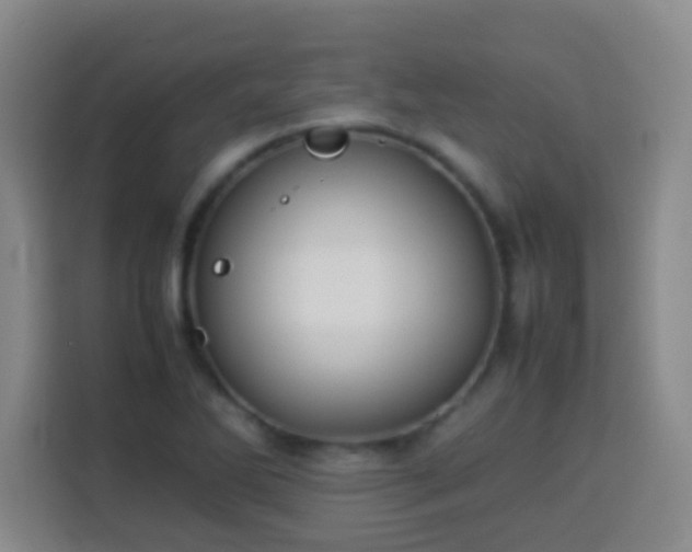 X0000113931270200910021235