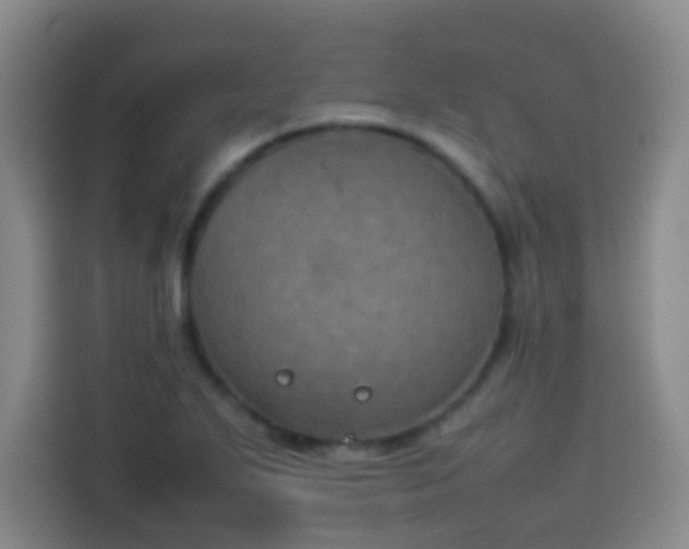 X0000113931271200910021235