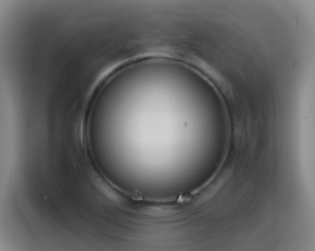 X0000113931272200910021235
