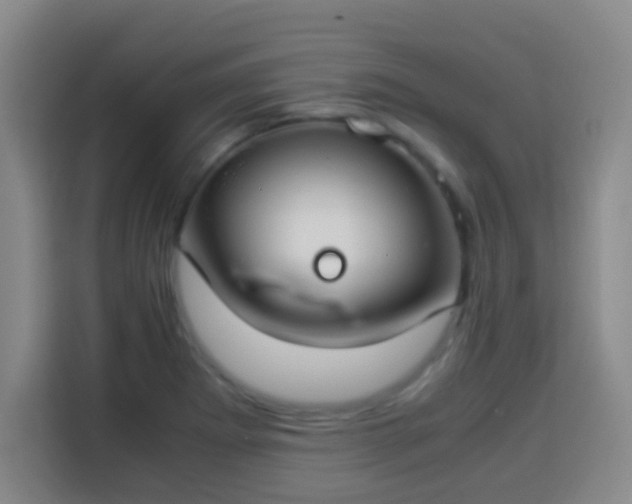 X0000113931273200910021235
