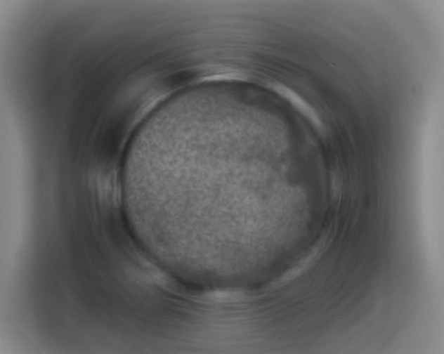X0000113931274200910021235