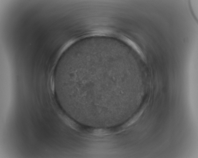 X0000113931275200910021235