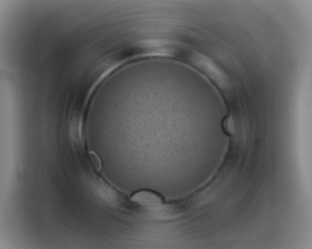 X0000113931276200910021235