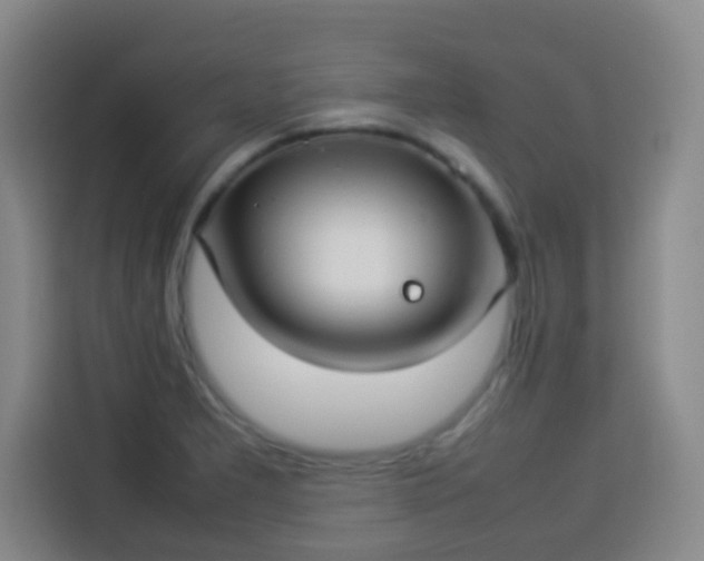 X0000113931277200910021235