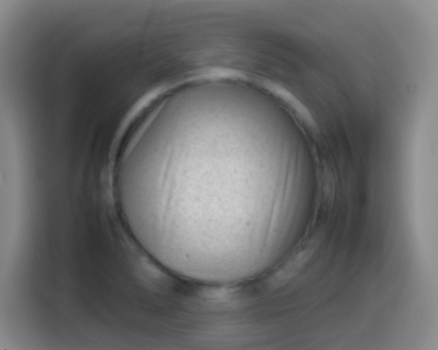 X0000113931278200910021235