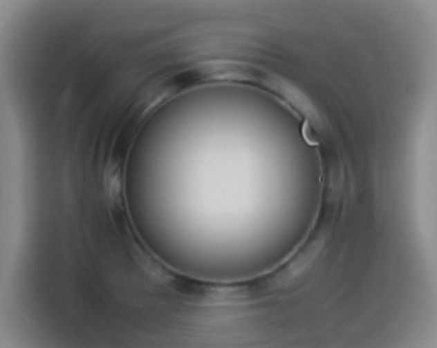 X0000113931281200910021235