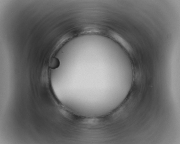 X0000113931282200910021235