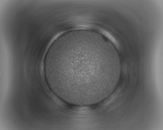 X0000113931283200910021235