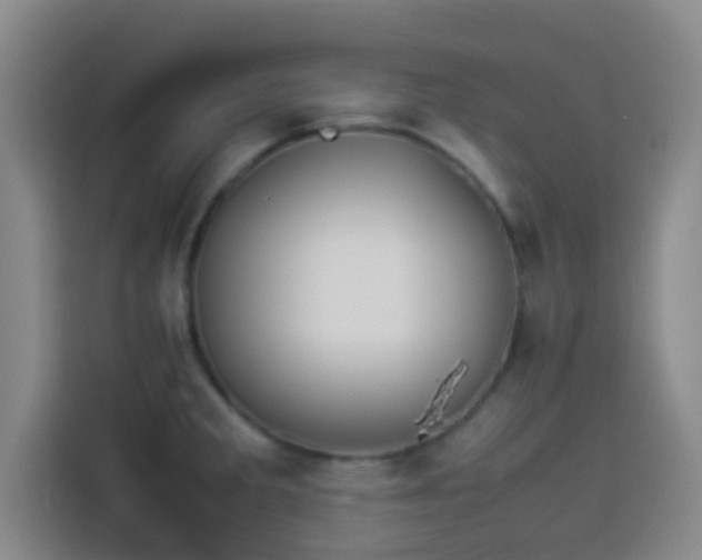 X0000113931285200910021235