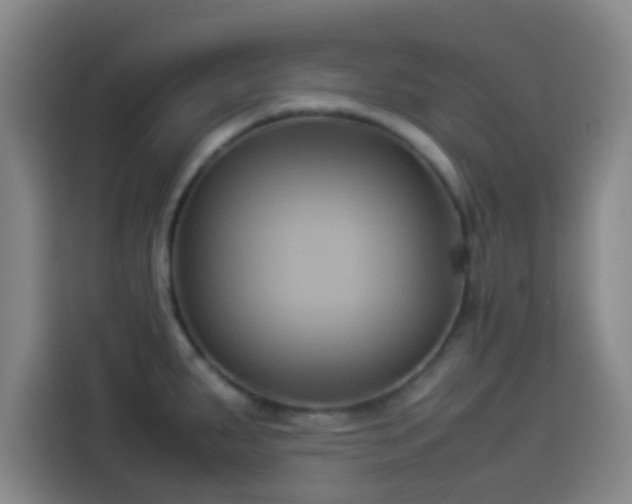 X0000113931287200910021235