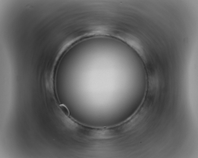 X0000113931288200910021235