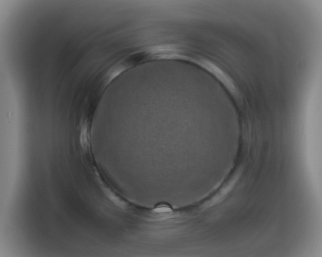 X0000113931289200910021235