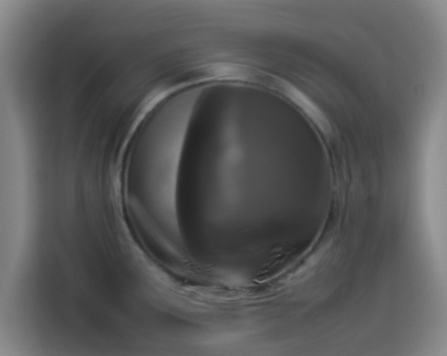 X0000113931291200910021235
