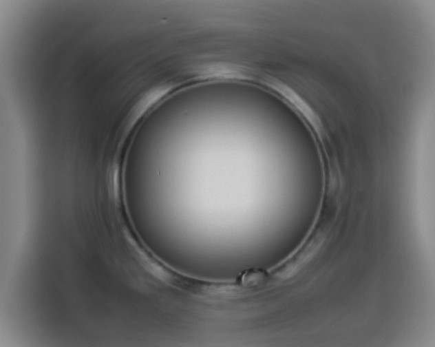X0000113931293200910021235