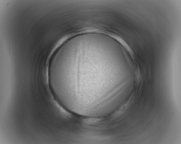 X0000113931294200910021235