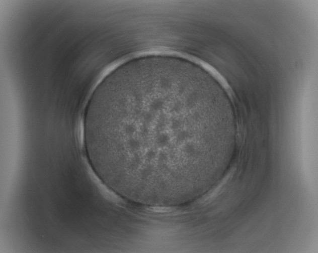 X0000113931295200910021235