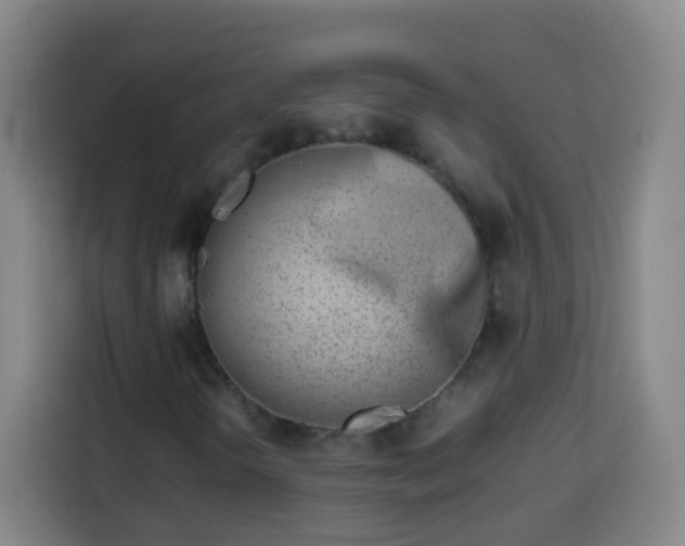 X0000113931298200910021234