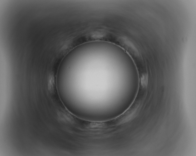 X0000113931299200910021234
