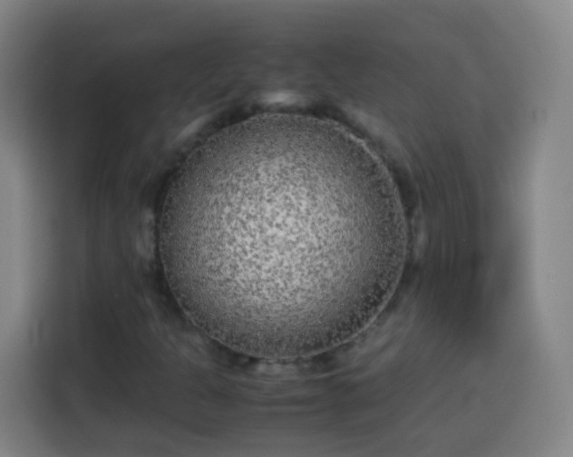 X0000113931301200910021234