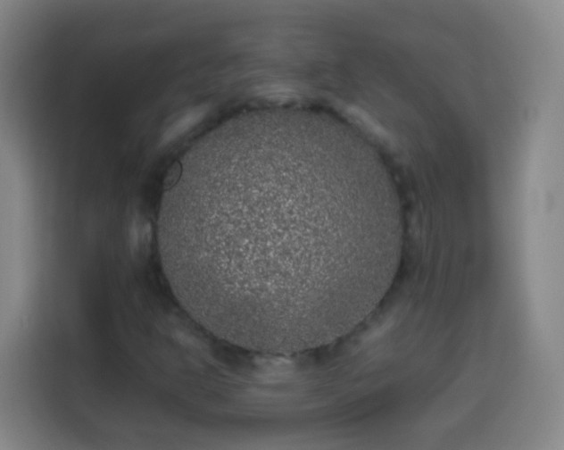 X0000113931302200910021234