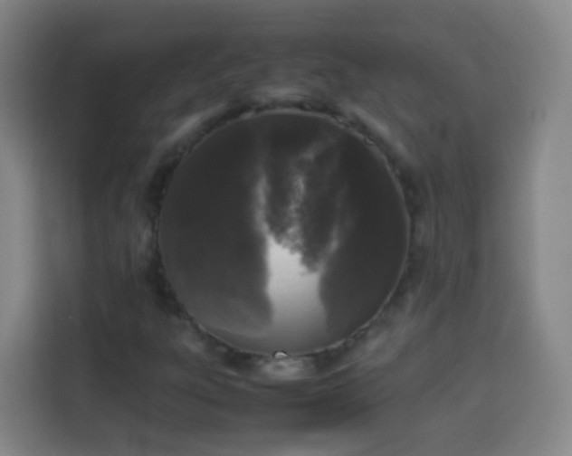 X0000113931303200910021234