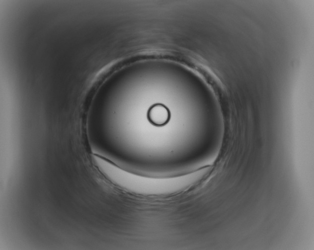 X0000113931304200910021234