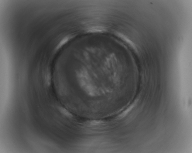 X0000113931306200910021234