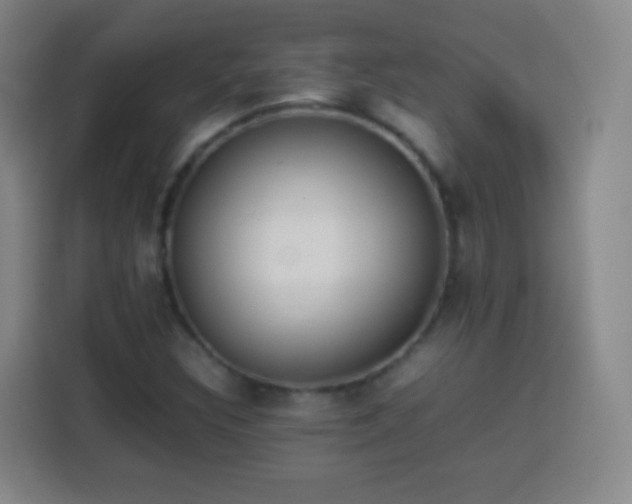 X0000113931308200910021234