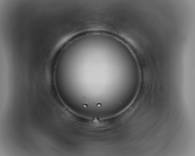 X0000113931311200910021234