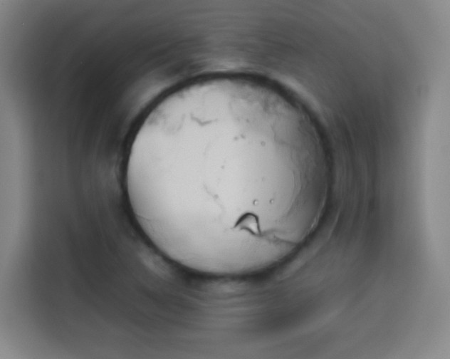 X0000113931314200910021234