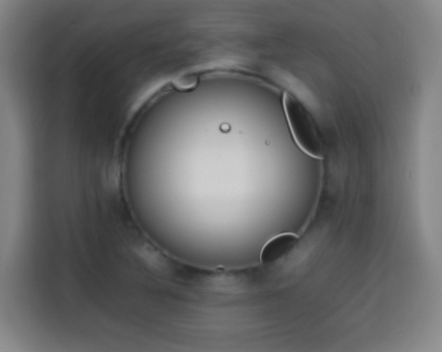 X0000113931316200910021234