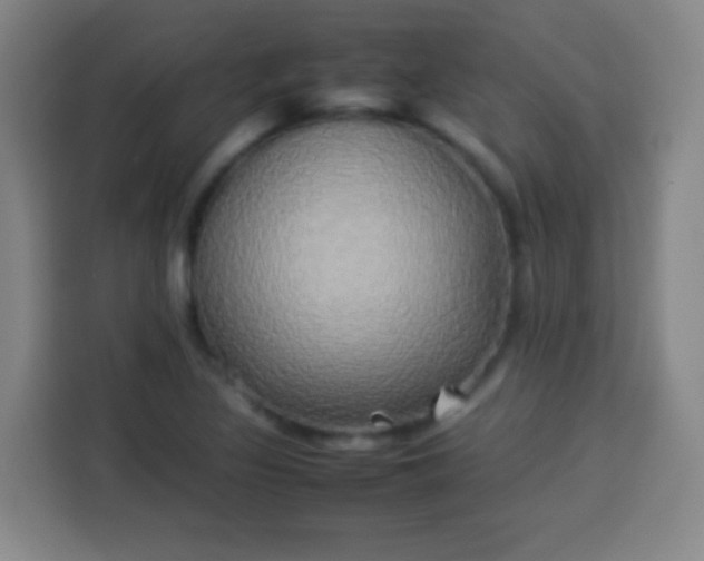 X0000113931317200910021234