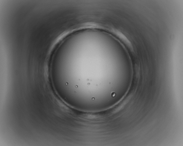 X0000113931318200910021234