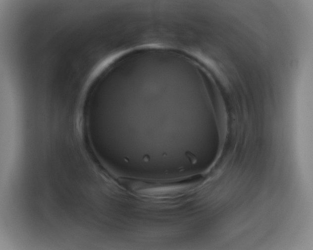 X0000113931319200910021234