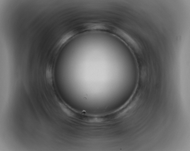 X0000113931321200910021234