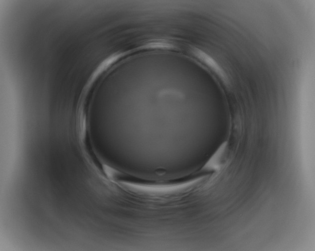 X0000113931323200910021234
