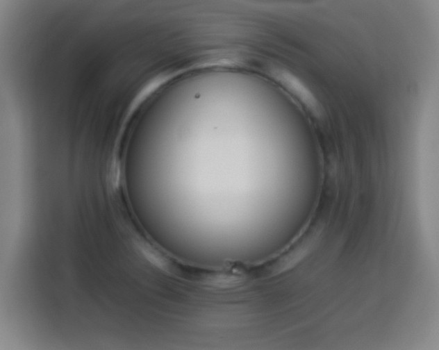 X0000113931324200910021234