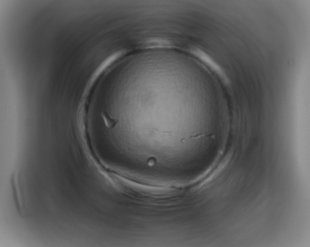 X0000113931325200910021234