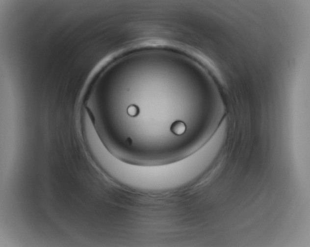 X0000113931326200910021234