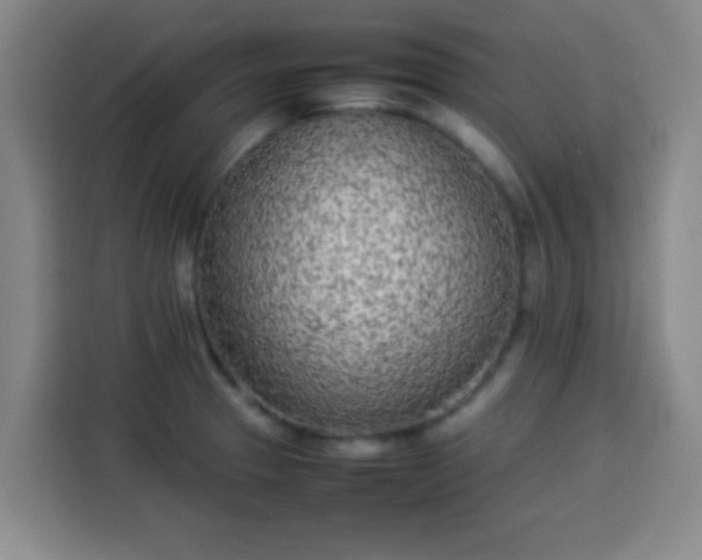 X0000113931329200910021234