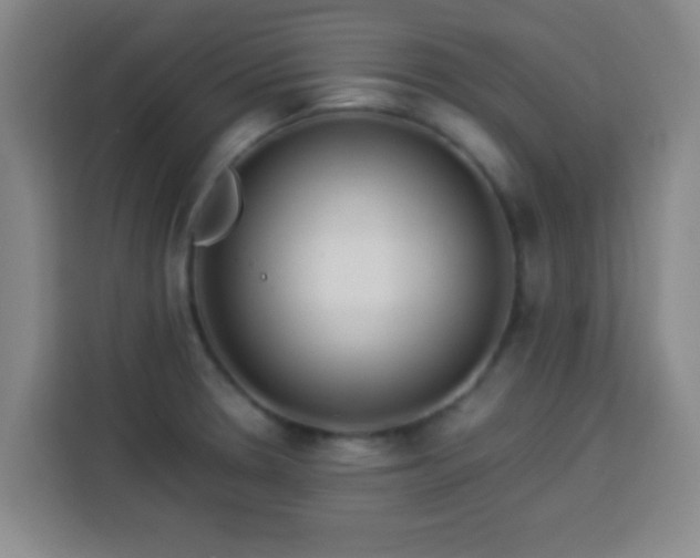 X0000113931330200910021234