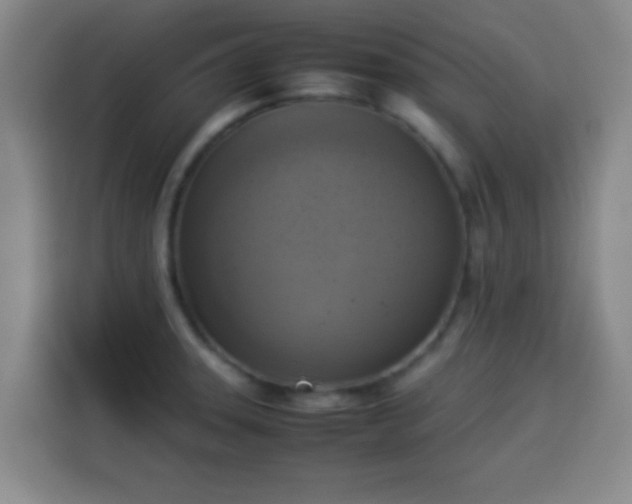 X0000113931331200910021234